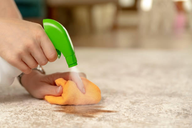 Carpet Stains | Allied Flooring & Paint